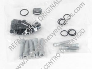 Kit válvula check 193806GS