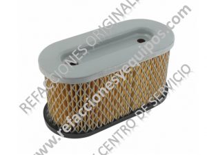 Filtro de Aire 491950